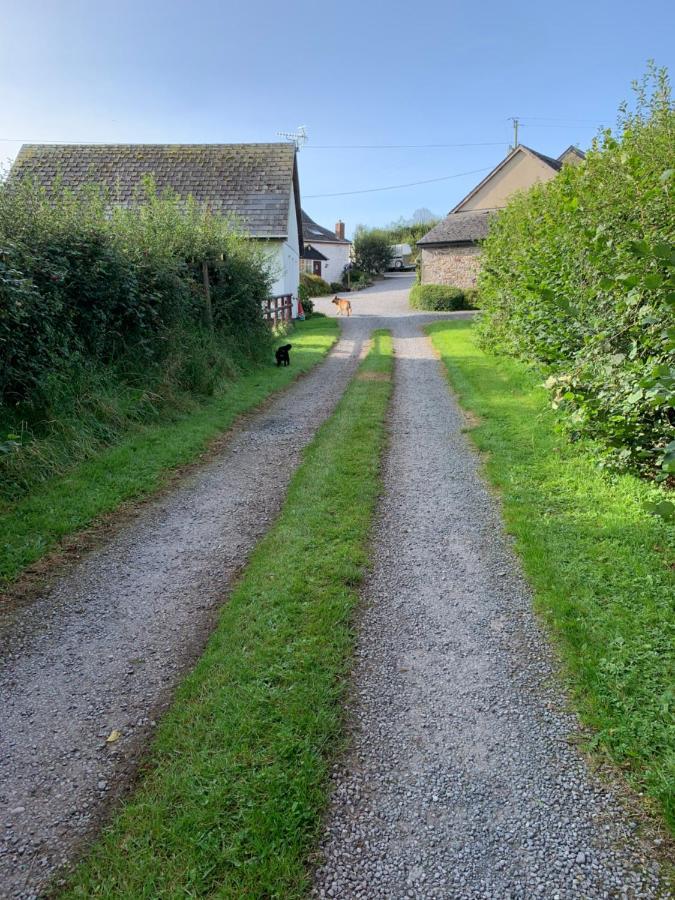فندق The Reindeer Retreat Buttercup Twin Kidwelly المظهر الخارجي الصورة