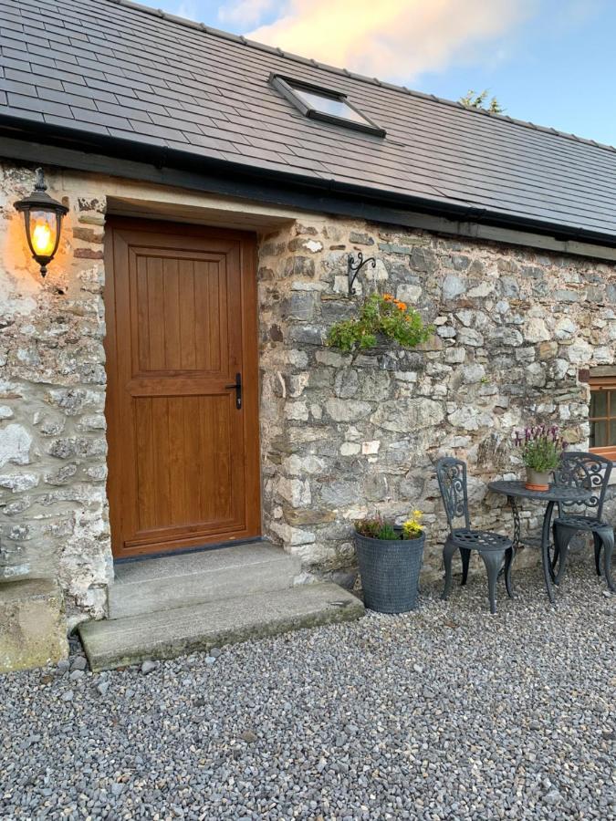فندق The Reindeer Retreat Buttercup Twin Kidwelly المظهر الخارجي الصورة
